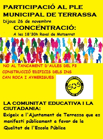 cartell_ple_municipal.jpg